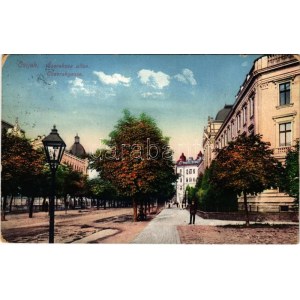 1914 Eszék, Osijek; Cavrakova ulica / Chavrakgasse / street view (EK)