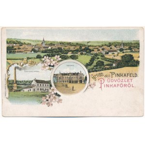 Pinkafő, Pinkafeld; Elektrische Centrale, Sparkassa. Th. Böhm / electric works, savings bank / Villanytelep...