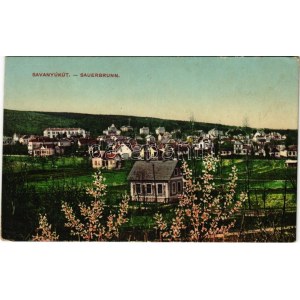 Savanyúkút, Sauerbrunn; látkép. Hönigsberg Frigyes kiadása / general view (EK)