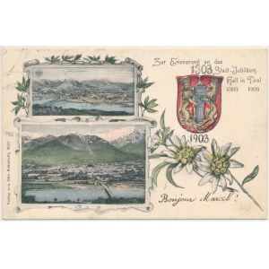 1903 Hall in Tirol, Zur Erinnerung an das Stadtjubiläum 1303-1903 / Na památku výročí města, obecné pohledy...