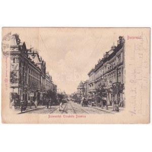 1906 Bucharest, Bukarest, Bucuresti, Bucuresci; Bulevardul Elisabeta Doamna, Drogueria / street, drugstore shop (EK...