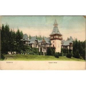 Sinaia, Castelul Peles / castle (fl)