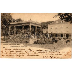 1900 Rogaska Slatina, Rohitsch-Sauerbrunn; Musikpavillon und Restaurant. Deutsch's Postkartenverlag (Wien) ...