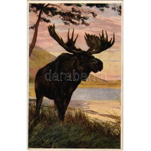 Moose. From Jennison's Natural History - Animals Series No. 83. s: Edgar H. Fisher (EK)