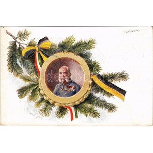 Ferenc József / Franz Joseph, Viribus Unitis. Feldpostkorresppondenzkarte (EK)