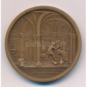 1969. VASKUT - Vasipari Kutató Intézet Budapest 1949-1969 kétoldalas bronz emlékérem...
