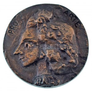 1983. Pro Arte bronz emlékérem, hátoldalán névre szóló gravírozással (69mm) T:AU