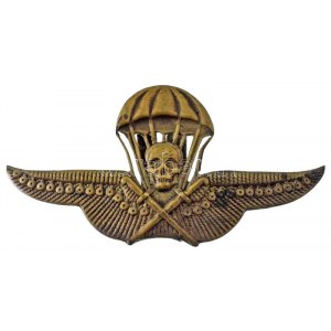 ~1930-1940. Ejtőernyős levente jelvény - változat bronz lemezjelvény, hátlapon rögzítőpántokkal...