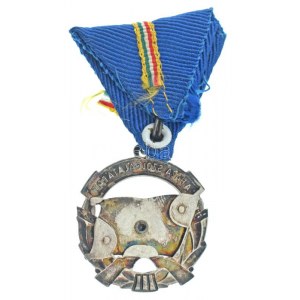 ~1956. A Haza Szolgálatáért Emlékérem II. fokozata zománcozott, ezüstözött bronz kitüntetés Rákosi-címerrel...