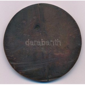 ~1970-1980. A néppel tűzön vízen át MN a Magyar Néphadsereg egyoldalas, öntött bronz emlékplakettje (68mm) T...