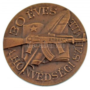DN 30 éves a Honvédségi Szemle egyoldalas bronz emlékérem (80mm) T:XF