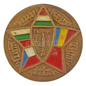 1979. Pajzs 1979 festett fegyverbaráti, részben festett bronz emlékérem (87mm) T:XF