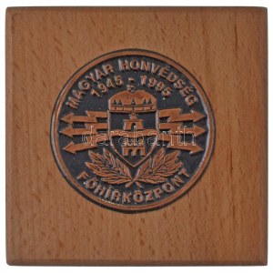 1995. Magyar Honvédség - Főhírközpont Br lemezérem (61mm) faltalpon (99x99mm) T:AU