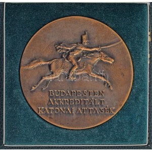 DN Budapesten Akkreditált Katonai Attasék egyoldalas, öntött bronz plakett, dísztokban (101mm) T:AU...