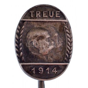 Ausztria 1914. Treue (Hűség) 1914 jelzett Ag patrióta jelvény HN gyártói jelzéssel (0.900/2,40g) T...