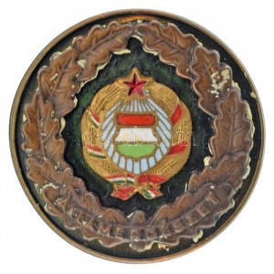 ~1970-1980. Államerdészet részben zománcozott bronz jelvény, csavaros hátlappal, hátoldalon 606 sorszámmal (40mm) T...