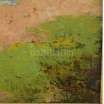 Ott Zoltán (1881-?): Nagymosás a Balaton partján. Olaj, vászon. Jelezve jobbra lent. 50x70 cm. Dekoratív fakeretben. ...