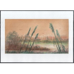 Stefan Grecu (?-?): Nádasban. Pasztell, tus, papír, jelzett, paszpartuban, 17x31 cm