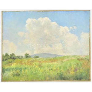 Sárdy Brutus (1892-1970): Hegyvidéki táj. Olaj, vászon, kartonra kasírozva, jelzés nélkül, 41x53...