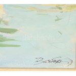 Olvashatatlan jelzéssel: Opatija. Akvarell, papír, jelzett, keretben 23x33 cm