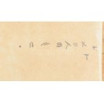1801 [Zapf, Georg Wilhelm (1747-1810)]...