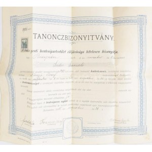 1918 A Budapesti Hentesipartestület tanoncbizonyítványa hentes tanonc részére