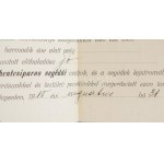 1918 A Budapesti Hentesipartestület tanoncbizonyítványa hentes tanonc részére