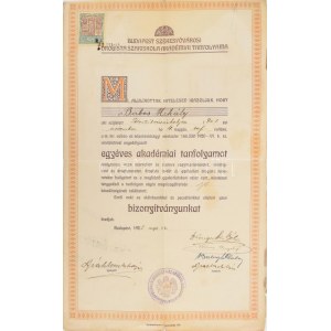 1925 Budapest Székesfővárosi Drogista Szakiskola akadémia tanfolyamának drogista (gyógyszerész) bizonyítványa...