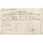 1953 Budapesti Műszaki Egyetem vegyészmérnöki kar fényképes leckekönyve Holló Judit részére, sok bejegyzéssel...