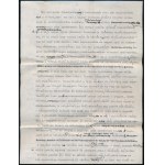 1946 Szenes Piroska (1897-1972) író, újságíró 7 oldalas interjú-levele Vass László (1905-1950) újságírónak...