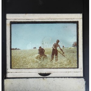 cca 1930-1940 Szendrő István (1908-2000): Aratás, színes diapozitív, 4×2,5 cm