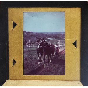 cca 1930-1940 Szendrő István (1908-2000): Szántás, színes diapozitív, 4×2,5 cm