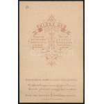 cca 1872 Elegáns fiatal férfi portréja, vizitkártya Klösz György (1844-1913) pesti műterméből, jó állapotban, 10,5x6...