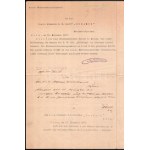 1917 Nagy eredeti adatlap (Auskunftnogen) az S.M.S. Monarch hajópecsétjével. A bécsi haditengerészeti irányító hivatal...