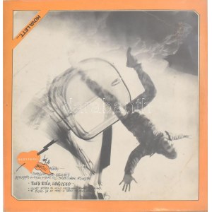 Nagy Feró És A Bikini - Hova Lett... Vinyl, LP, Album, 1983 Magyarország (VG+, a tok enyhén kopottas...