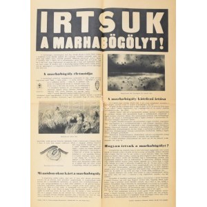 cca 1930 Irtsuk a marhabögölyt. Plakát 43x60 cm Hajtva, jó állapotban