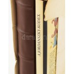 A Jordánszky-kódex. Magyar nyelvű bibliafordítás a XVI. század elejéről [1516-1519]...
