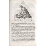 Stephens, Henry: Mezei gazdaság könyve. IV. kötet: Nyári gyakorlat. Stephens Henry The Book of the Farm...