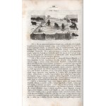 Stephens, Henry: Mezei gazdaság könyve. IV. kötet: Nyári gyakorlat. Stephens Henry The Book of the Farm...