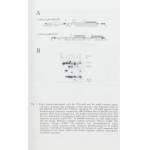 Proceedings of the Eighth International Conference on Grape Genetics and Breeding. Volume I-II. Szerk.: E. P. Botos, E...