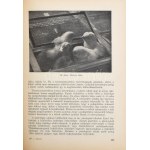 Tóth Pál: A baromfitenyésztés kézikönyve. A baromfibetegségek c. részt Dr. Hódossy József írta. Bp.,1956...