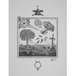 Damian KAJZER (ur. 1997), Revelatio Secunda Verbi Divini, 2024
