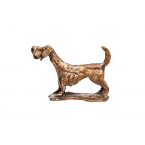 Jadwiga Bardyszewska, Terrier, 2024