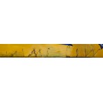 Yolanta Nitka Nikt (ur. 1961), Mój świat, 1995