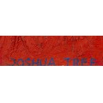Bogdan Korczowski (ur. 1954, Kraków), Joshua Tree z serii Desert, 1988