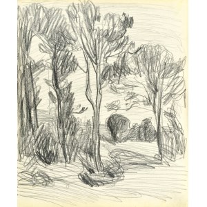 Stanisław KAMOCKI (1875-1944), Drzewa, lato 1903