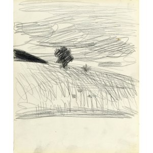 Stanislaw KAMOCKI (1875-1944), Fields with a lonely tree, summer 1903
