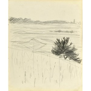 Stanislaw KAMOCKI (1875-1944), Landscape near Krakow, summer 1903