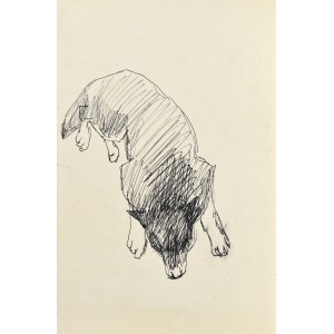 Ludwik MACIĄG (1920-2007), Pies