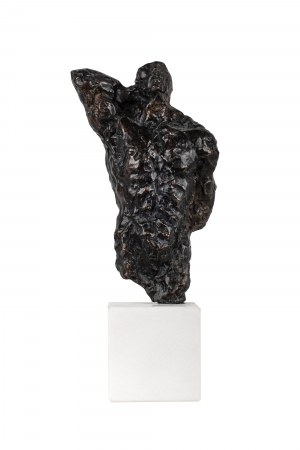 Waldemar Mazurek, Tors, 2022